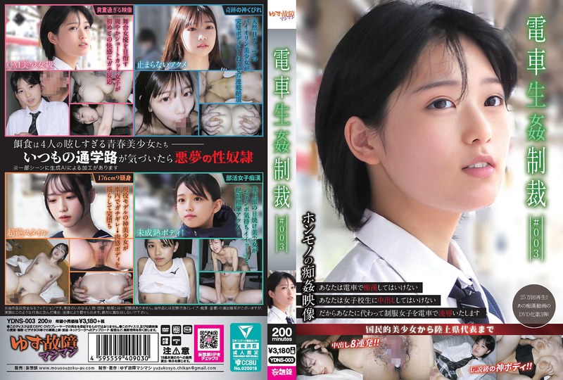 【ydns00003】電車生姦制裁 ＃003 /レビュー評価3.86