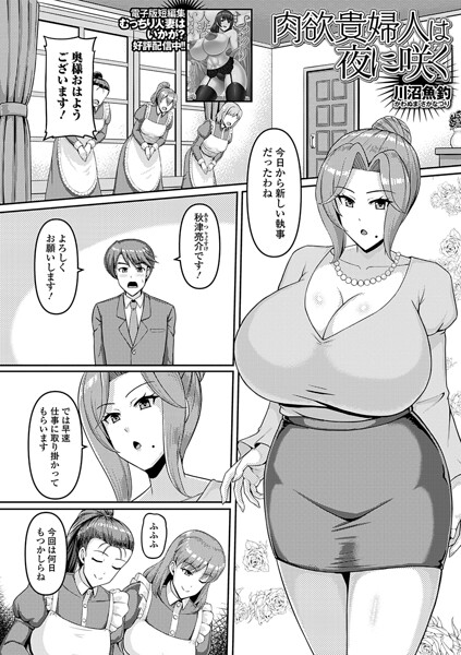 【単話】肉欲貴婦人は夜に咲く（単話）（単話）｜川沼魚釣 評価数
