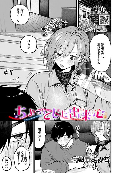 【羞恥】ちょっとした出来心（単話）｜朝野よみち 評価数