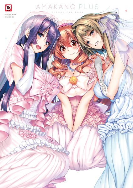 【単行本】アマカノ＋ ビジュアルファンブック｜ピロ水 評価数3
