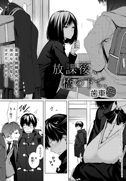 【単話】放課後、橋の下で、（単話）｜歯車 評価数12