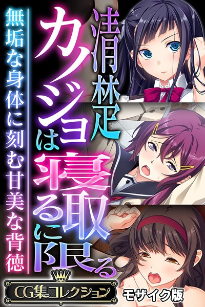 【フルカラー】清楚カノジョは寝取るに限る 〜無垢な身体に刻む甘美な背徳〜【CG集コレクション】 モザイク版｜大人のSEXY絵本 評価数