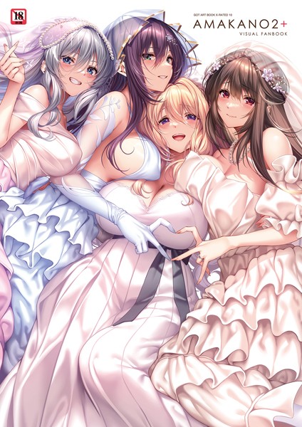【イラスト・CG集】アマカノ2＋ ビジュアルファンブック｜ピロ水 評価数5