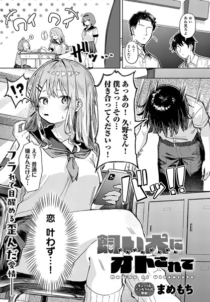 【単話】飼い犬にオトされて（単話）｜まめもち 評価数5