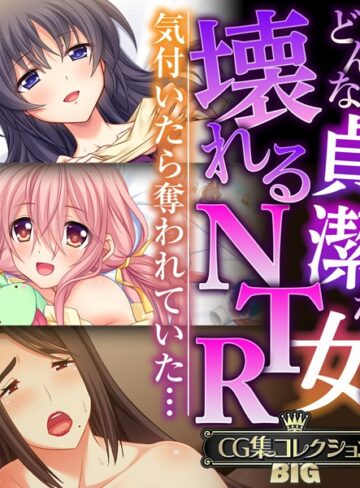 【単行本】どんな貞潔な女も壊れるNTR〜気付いたら奪われていた…〜【CG集コレクションBIG】｜大人のSEXY絵本 評価数