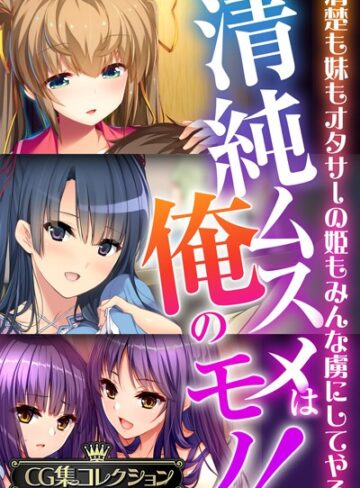 【単行本】清純ムスメは俺のモノ！〜清楚も妹もオタサーの姫もみんな虜にしてやる〜【CG集コレクションBIG】｜大人のSEXY絵本 評価数