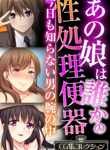 【単行本】あの娘は誰かの性処理便器 〜今日も知らない男の腕の中〜【CG集コレクションBIG】｜大人のSEXY絵本 評価数