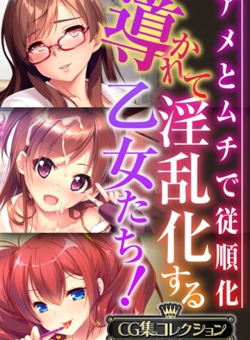 【単行本】導かれて淫乱化する乙女たち！〜アメとムチで従順化〜【CG集コレクションBIG】｜大人のSEXY絵本 評価数