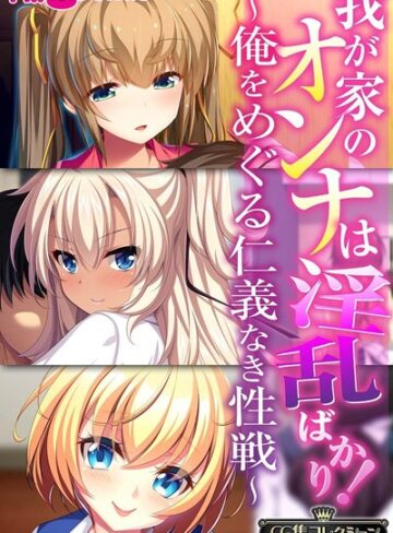 【単行本】我が家のオンナは淫乱ばかり！〜俺をめぐる仁義なき性戦〜【CG集コレクションBIG】｜大人のSEXY絵本 評価数