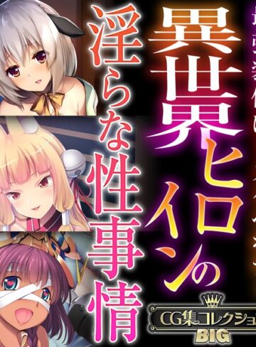 【単行本】異世界ヒロインの淫らな性事情 〜最強装備はドスケベボディ〜【CG集コレクションBIG】｜大人のSEXY絵本 評価数