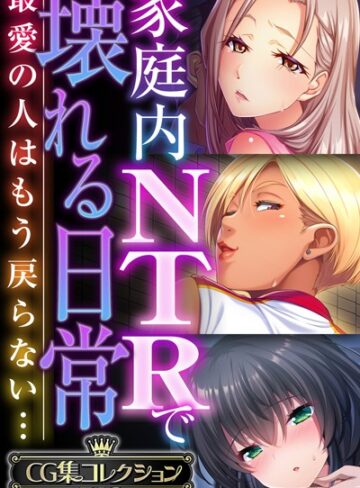 【単行本】家庭内NTRで壊れる日常 〜最愛の人はもう戻らない…〜【CG集コレクションBIG】｜大人のSEXY絵本 評価数