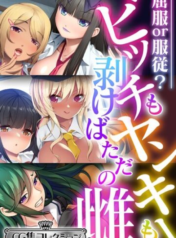 【単行本】ビッチもヤンキーも剥けばただの雌 〜屈服or服従？〜【CG集コレクション ミニ】｜大人のSEXY絵本 評価数