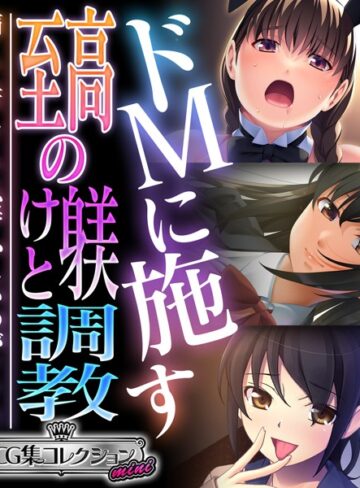 【単行本】ドMに施す至高の躾けと調教 〜痛くて苦しくて恥ずかしいのがイイ！！〜【CG集コレクション ミニ】｜大人のSEXY絵本 評価数